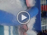 DSCF3334